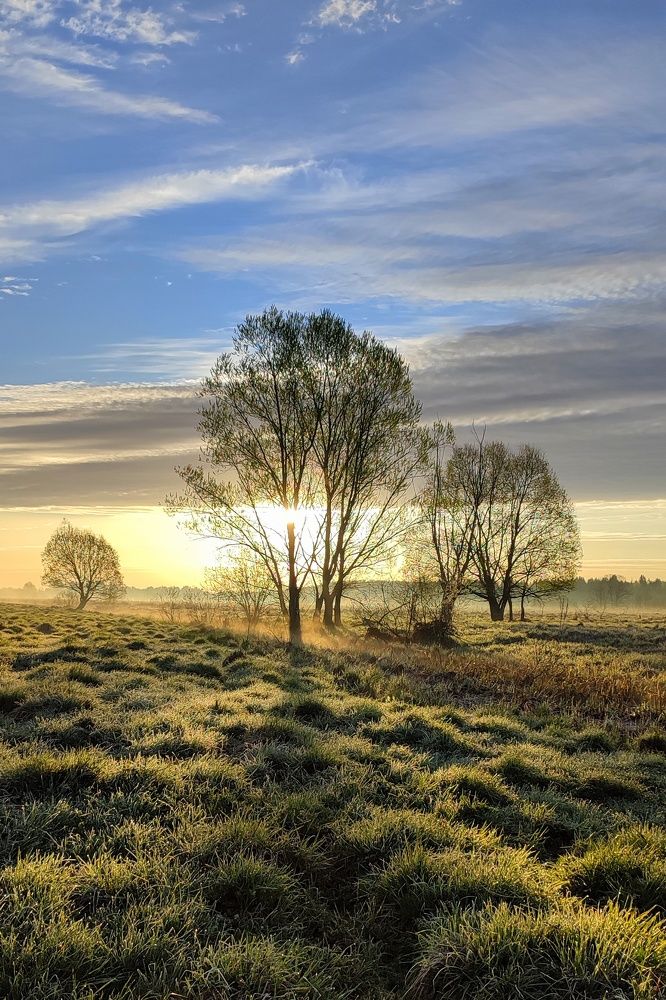 Photograph by Илья Шамин