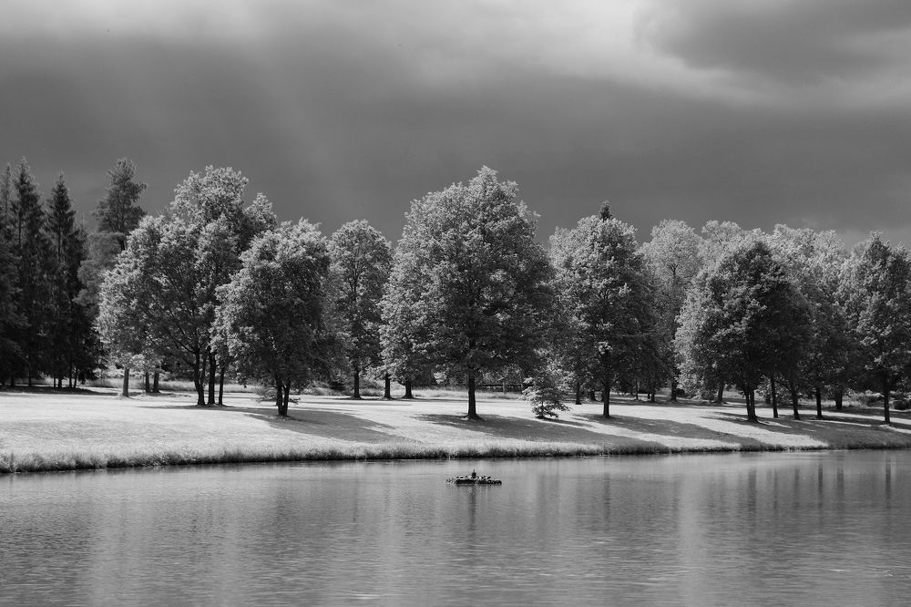 Photograph by Юлия Степанская