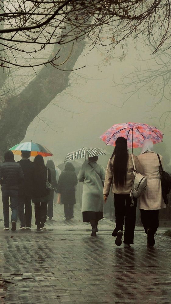 Photograph by Мирбек Конобаев