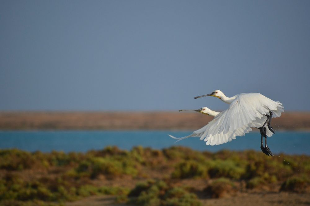 Photograph by Mahmoud Yassin