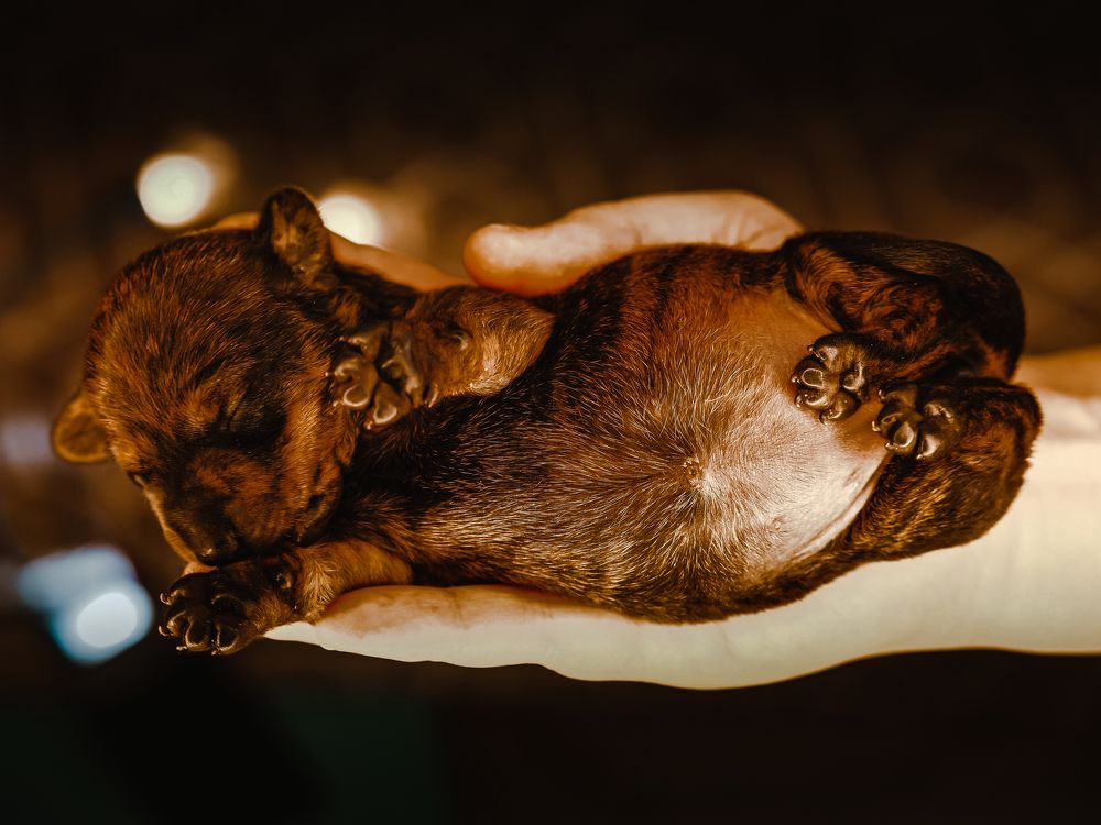 Photograph by Elen Vorontsova