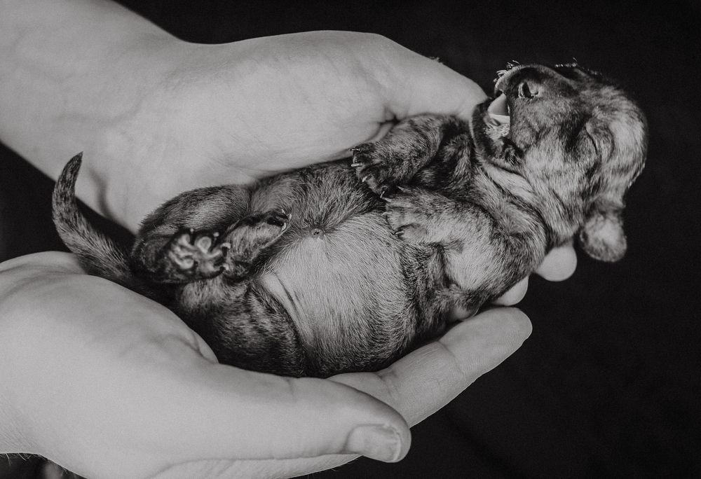 Photograph by Elen Vorontsova