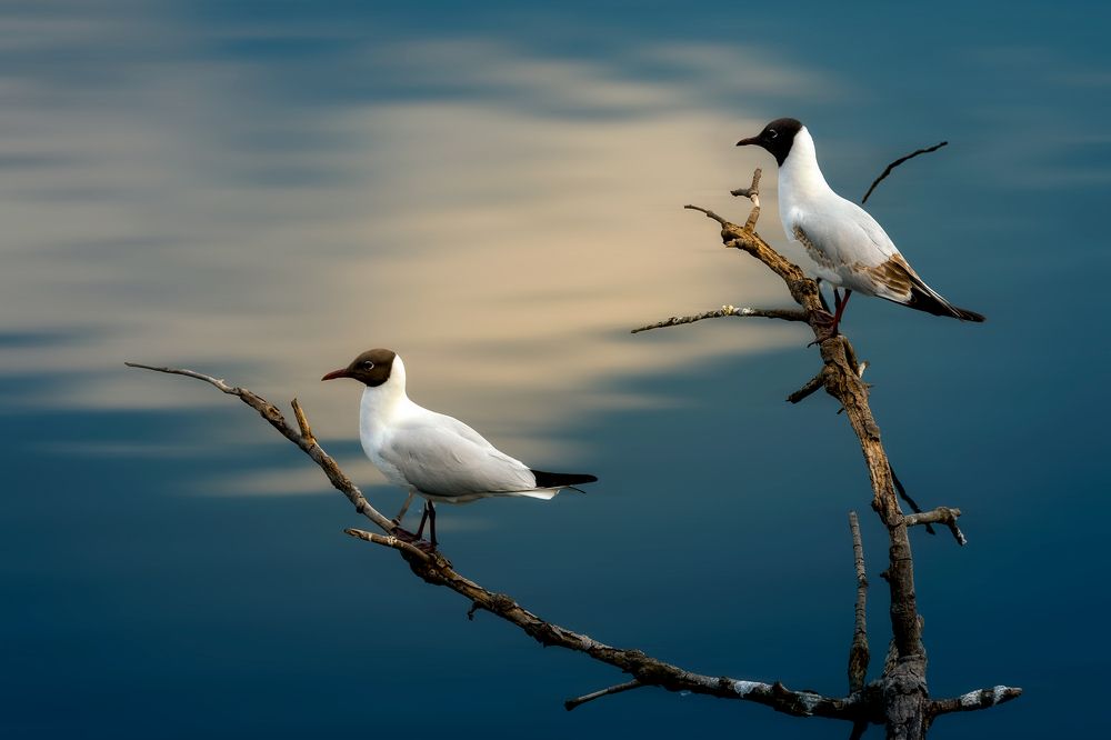 Photograph by Tomasz Szczesny