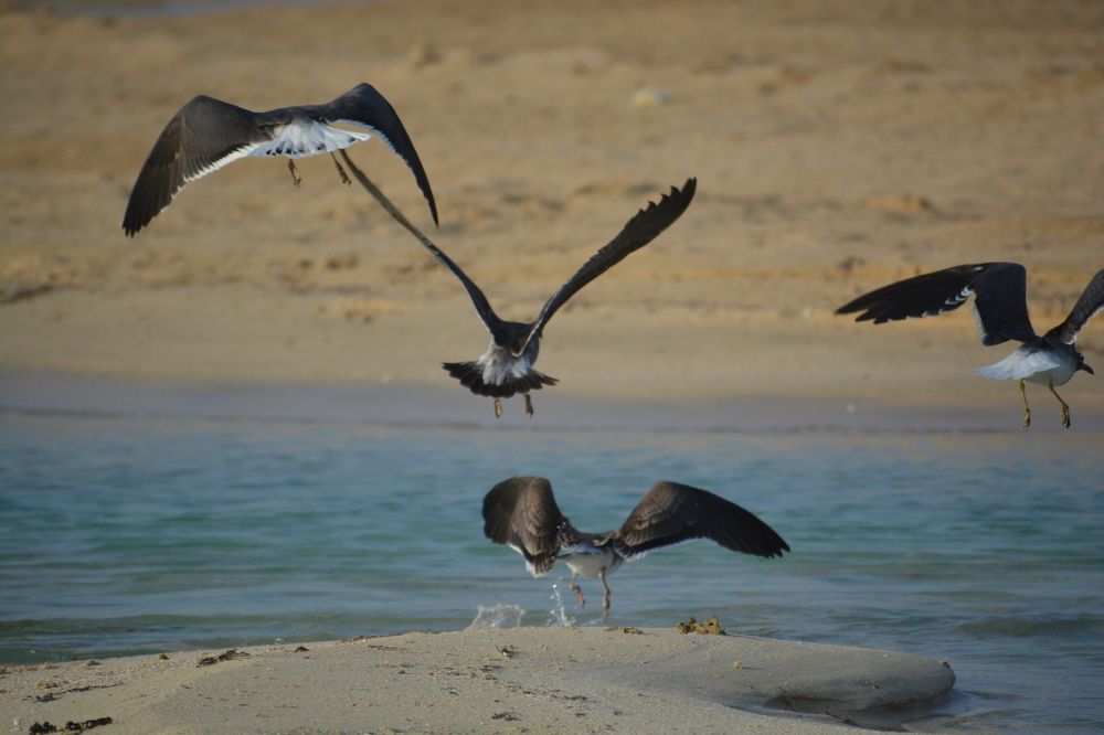 Photograph by Mahmoud Yassin