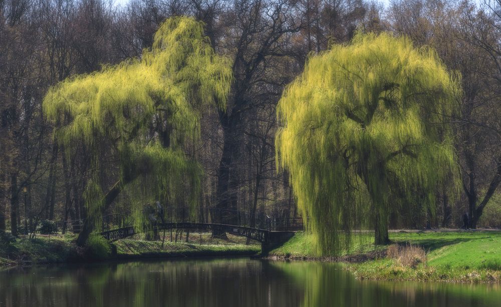 Photograph by Tomasz Szczesny