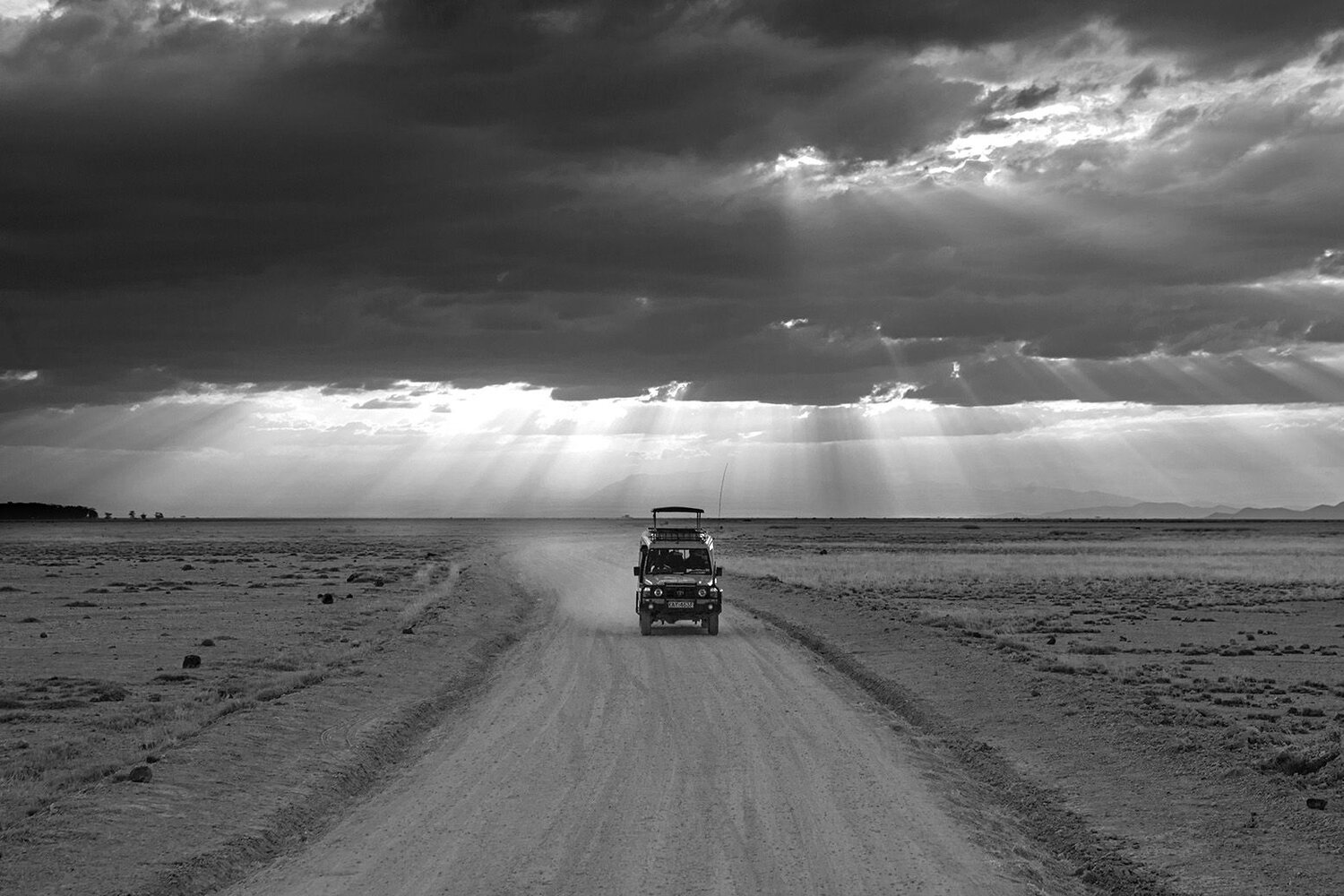 Photo #7606996