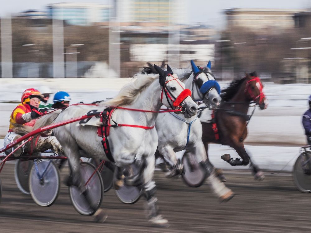 Photograph by Elen Vorontsova