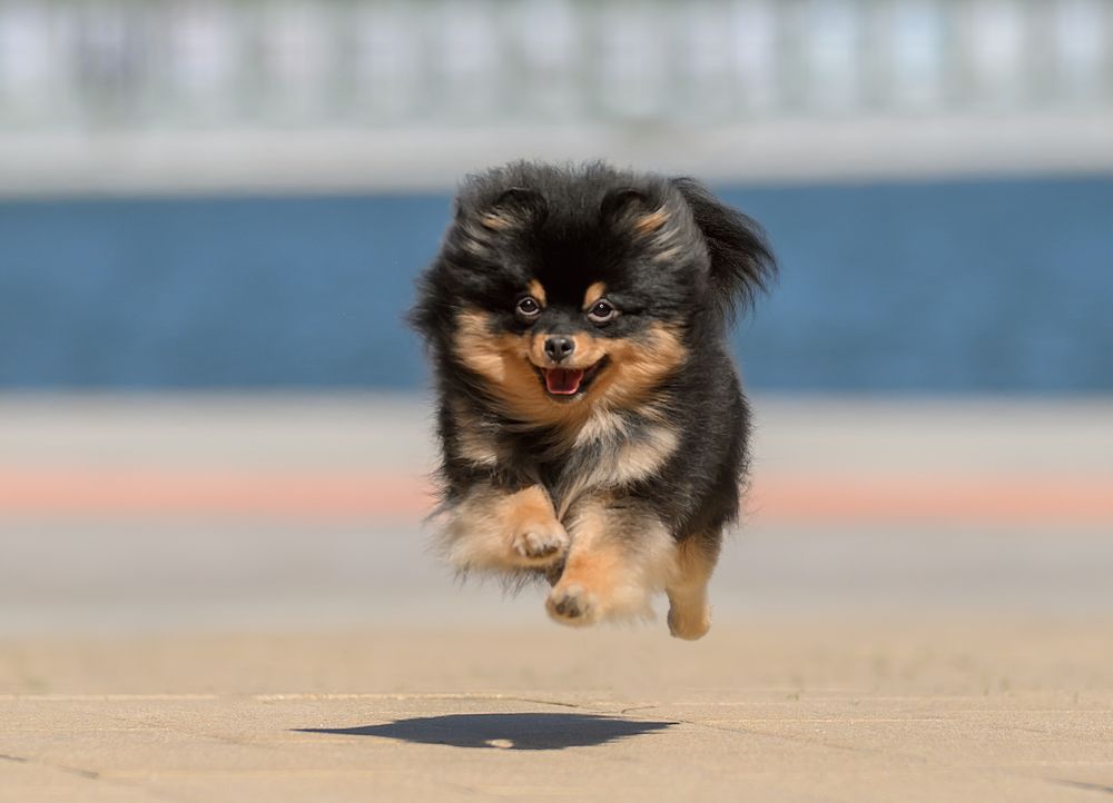 Photograph by Коптилина Галина