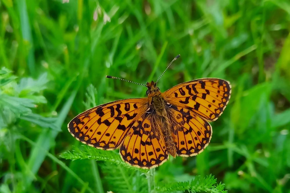 Photograph by Viktoria Vavilkina