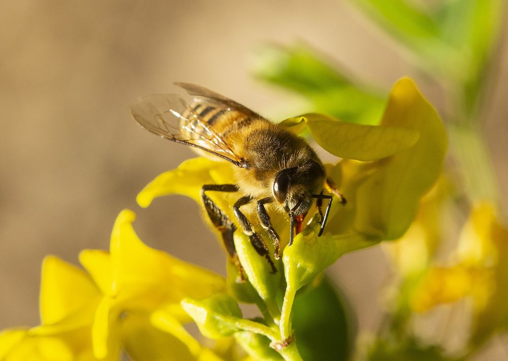Photograph by Борис Саватюгин