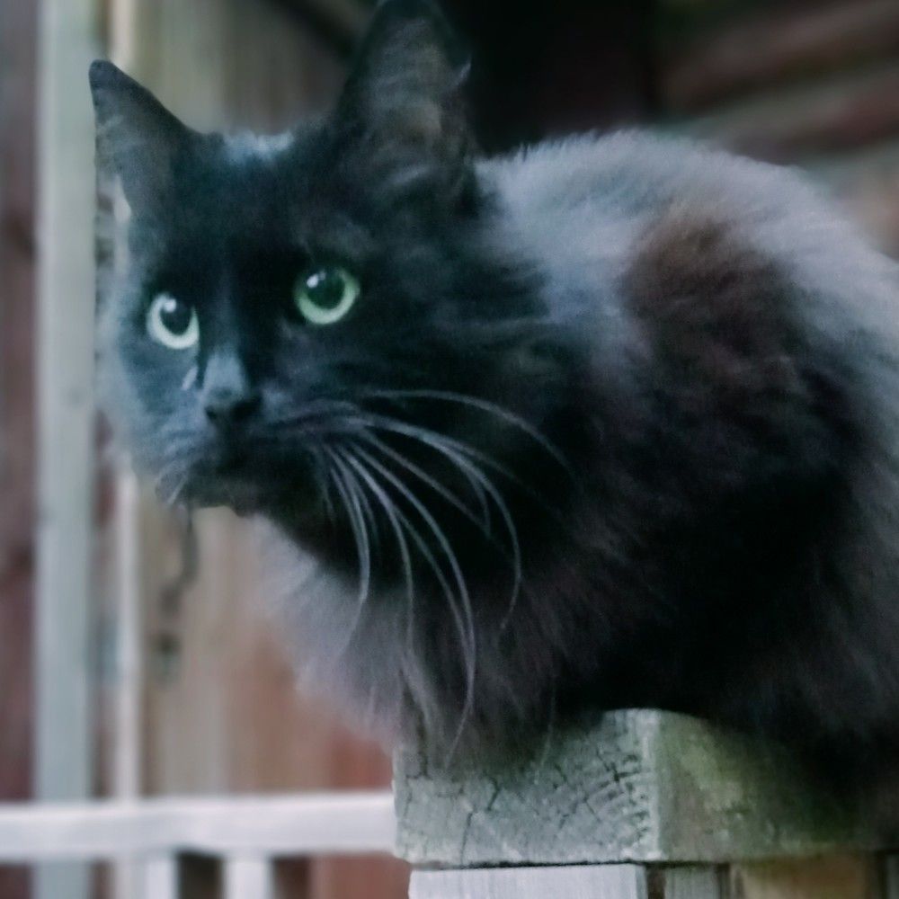 Photograph by Александр Alexander Zheleztsov