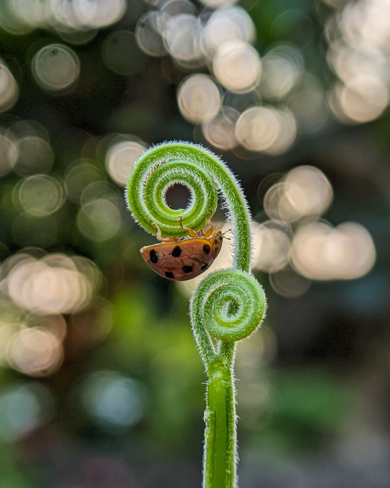 Photograph by Ajeesh A