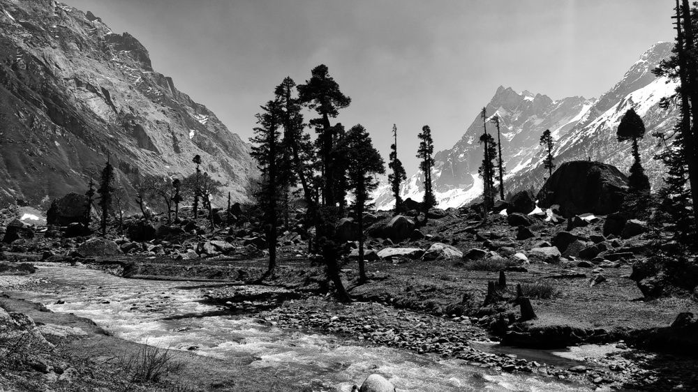 Photograph by Suvarna