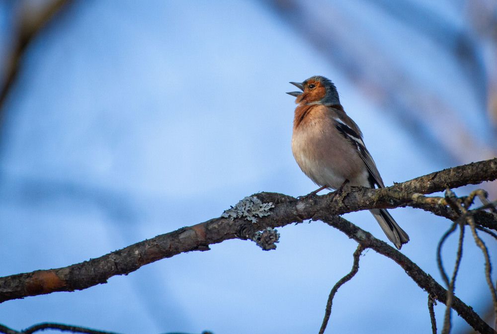 Photograph by Игорь