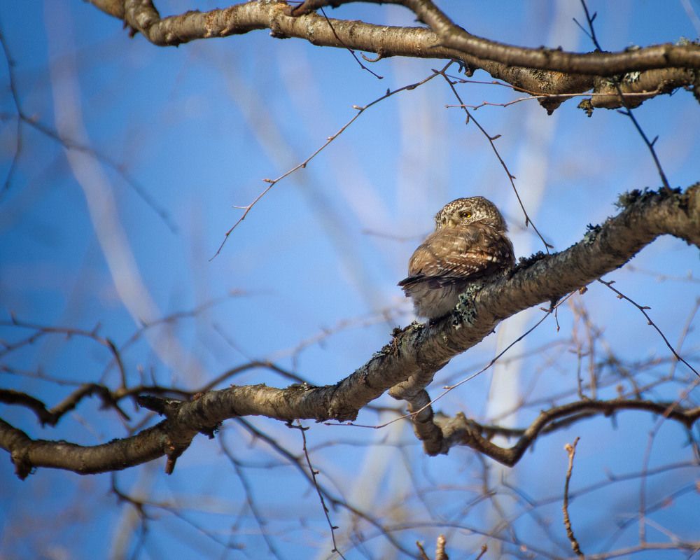 Photograph by Игорь