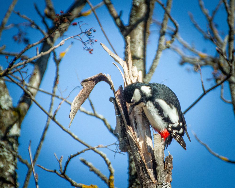 Photograph by Игорь