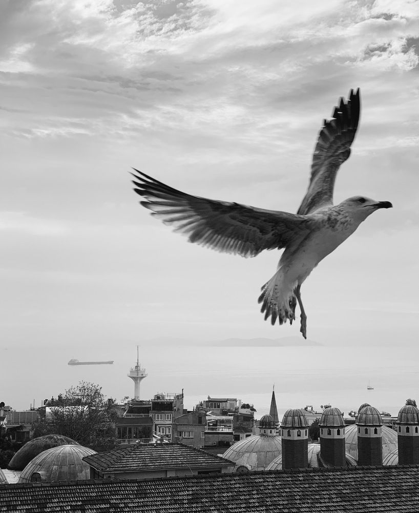 Photograph by Русев Дмитрий