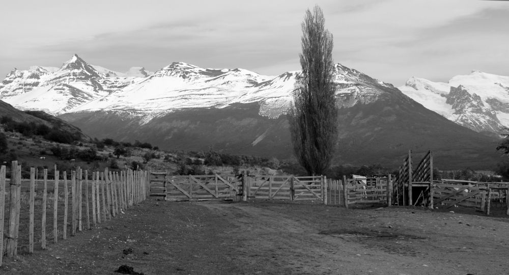 Photograph by ANTONIO LAFAIETE PAPAIANO