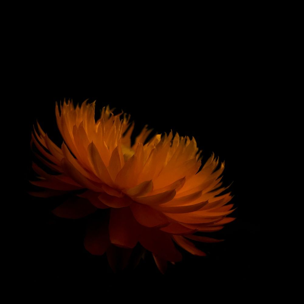 Photograph by Елена Мельник