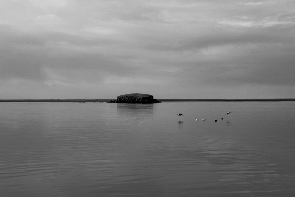 Photograph by Анастасия Лопатина