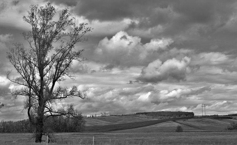 Photograph by Yrii Usoltsev