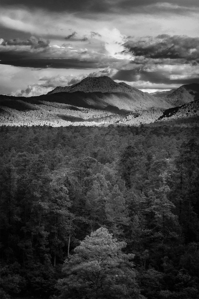 Photograph by Alfredo Jiménez Velázquez