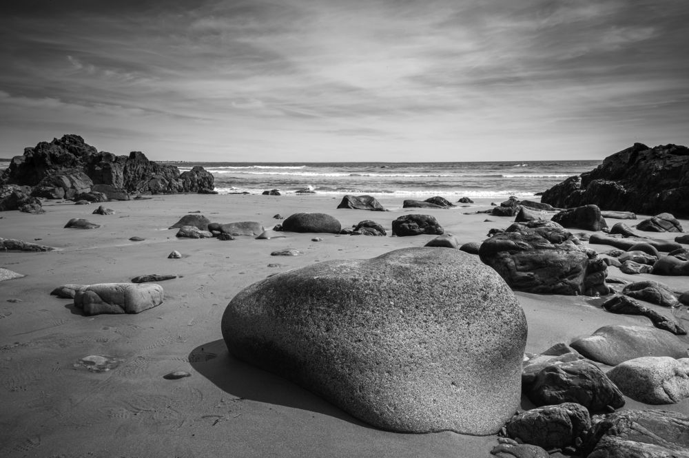 Photograph by Ryan Constable