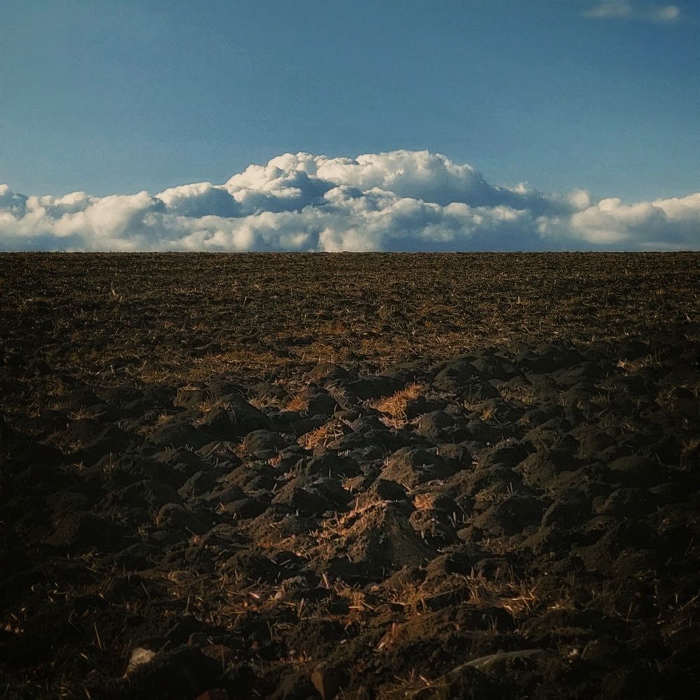 Photograph by Анна