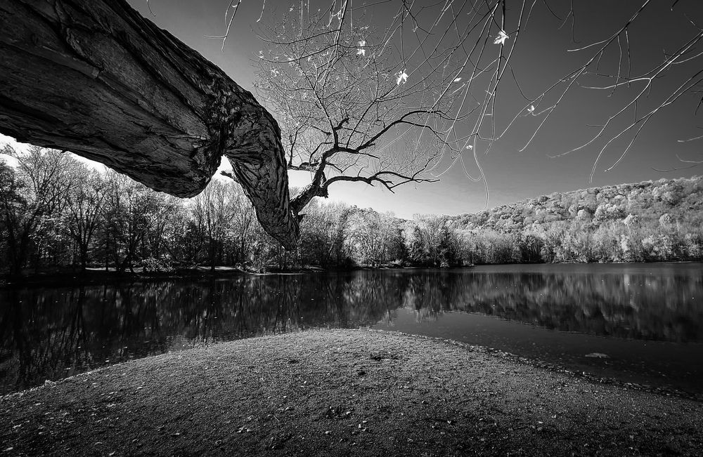 Photograph by Anatoly Vishnev