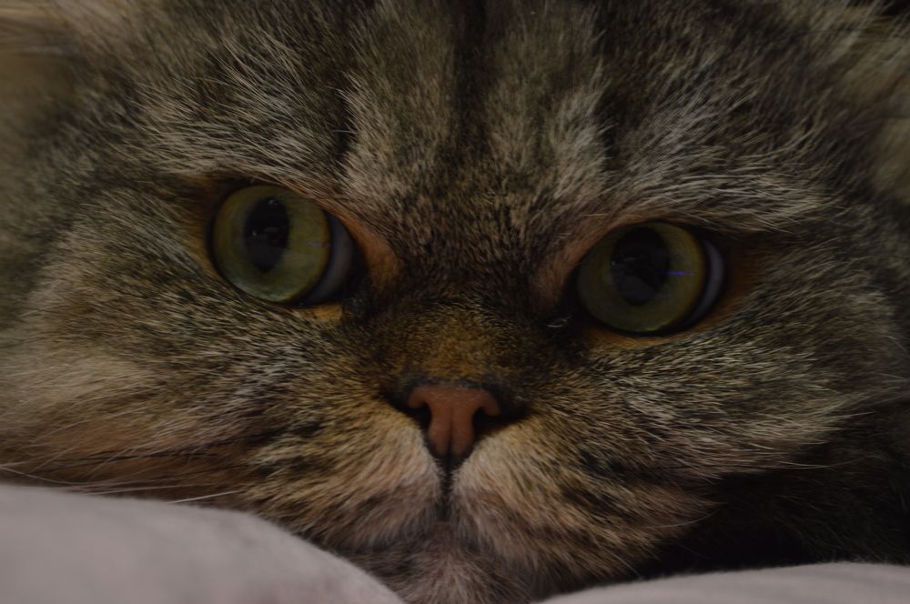 Photograph by Ангелина Ларина