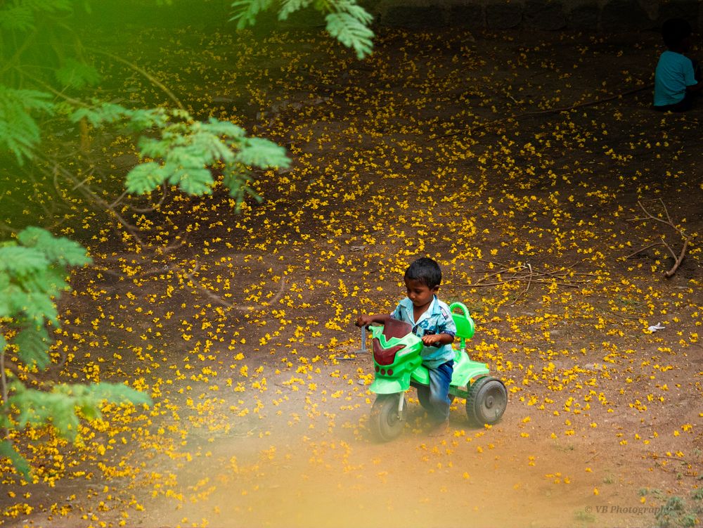 Photograph by bharath Vidyam