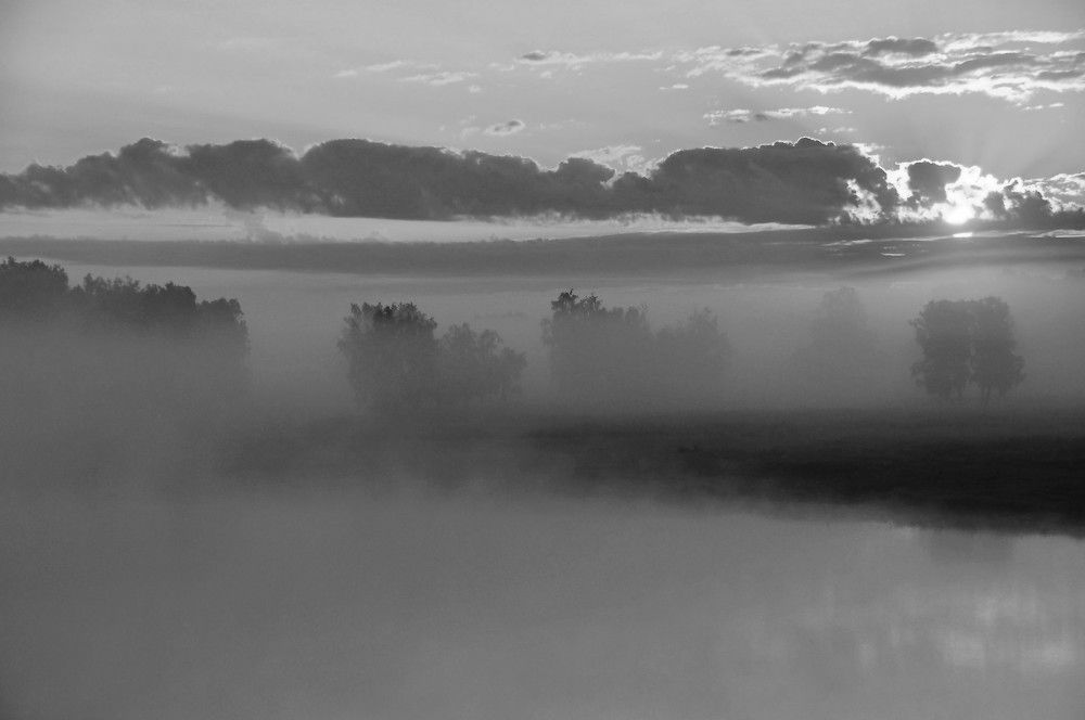 Утренний туман