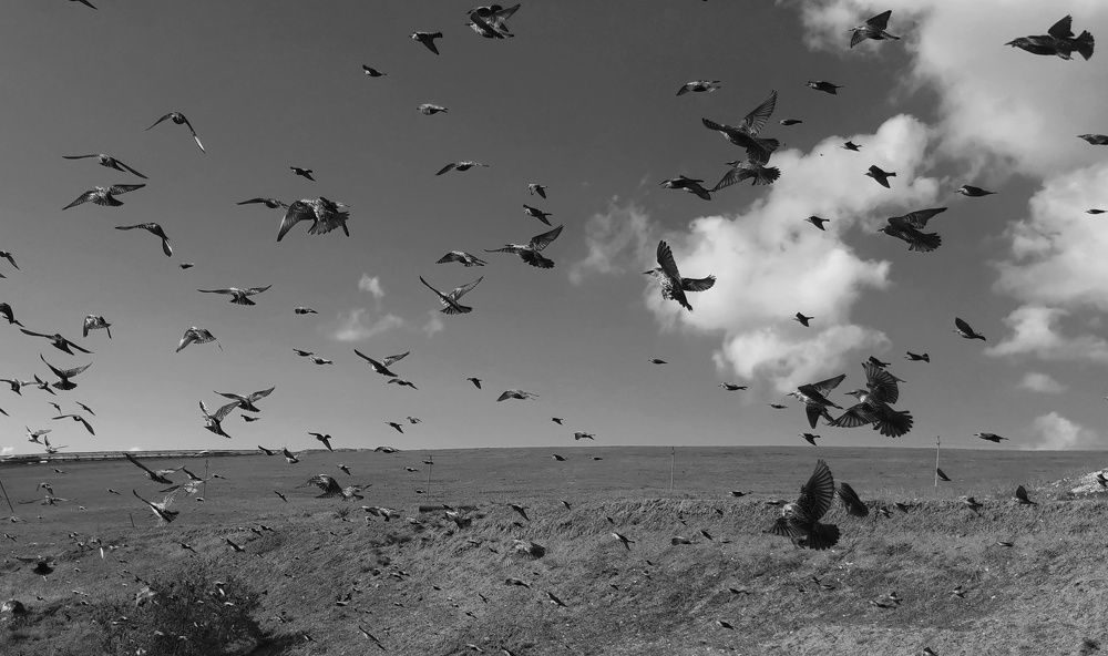 Photograph by Константин Бокарев