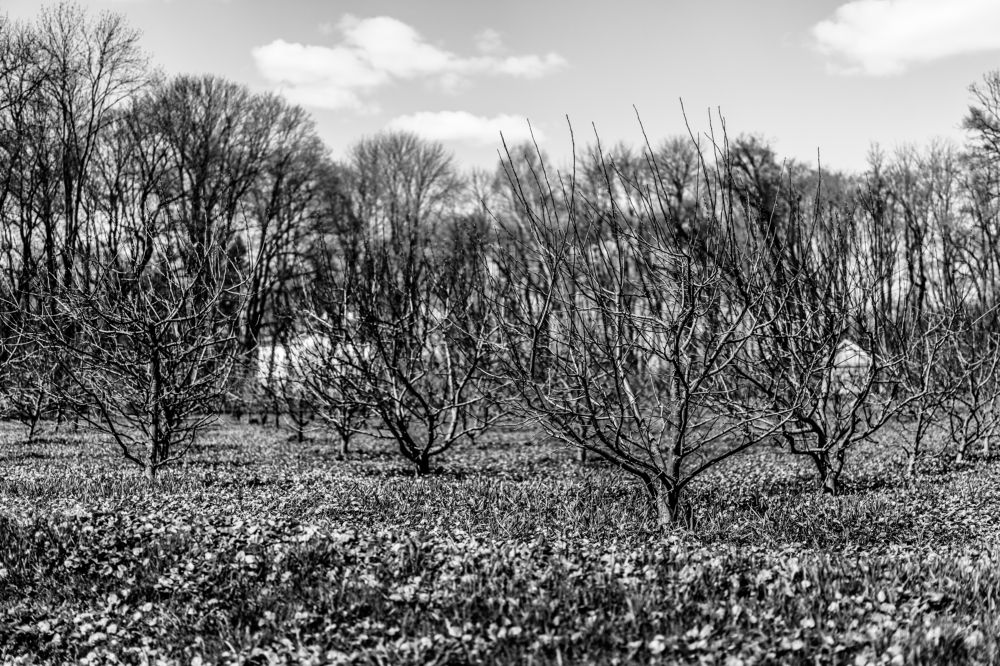 Фотография автора Василиса Новикова