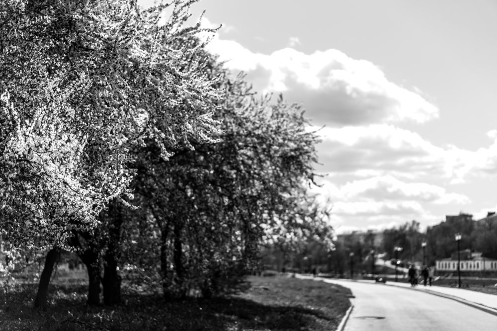 Фотография автора Василиса Новикова