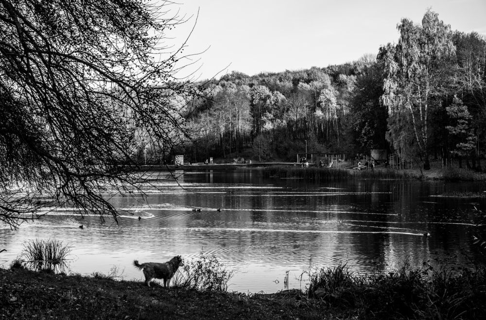 Фотография автора Василиса Новикова