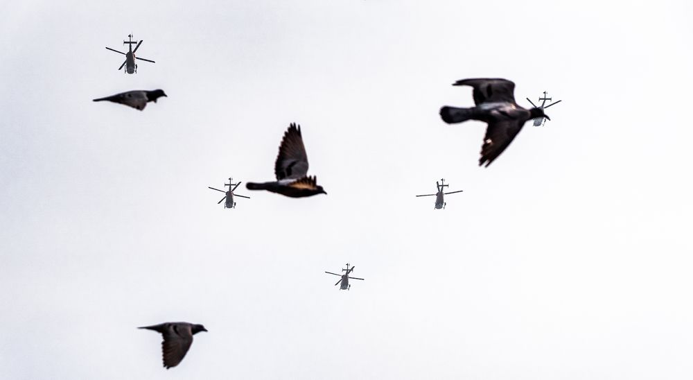 Фотография автора Anuj Medhavi