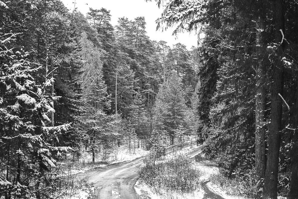 Photograph by Илья Чирков