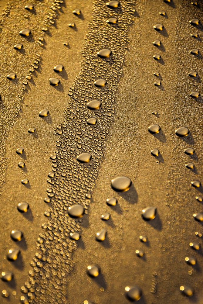 Photograph by Сергей Воронцов