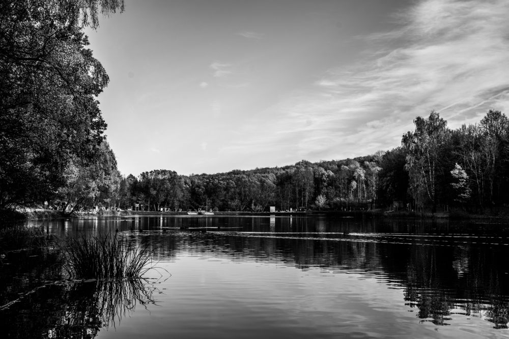 Фотография автора Василиса Новикова