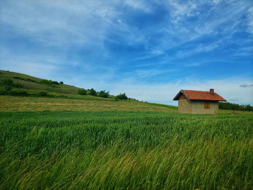 Photograph by Ana Bakic