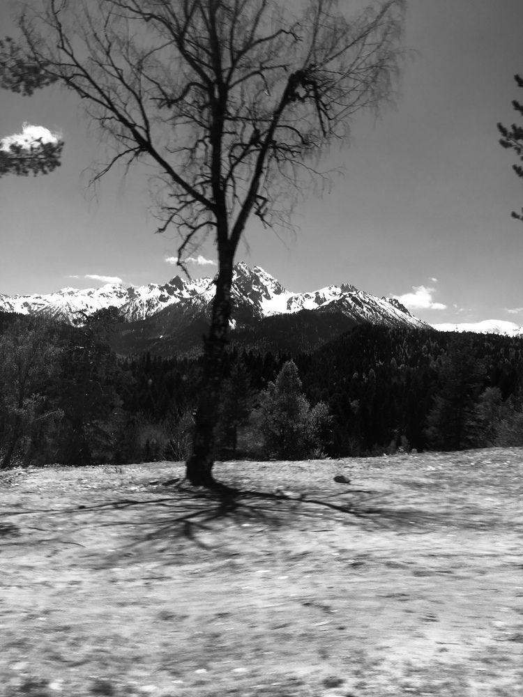 Photograph by Olga Afanaseva