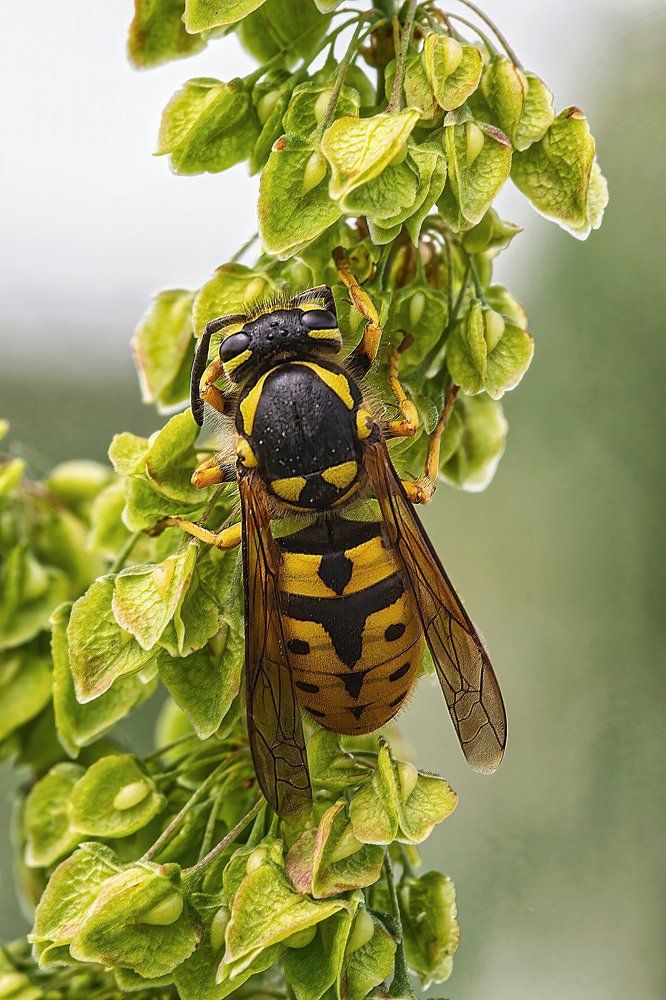 Photograph by Djordje Filipovic