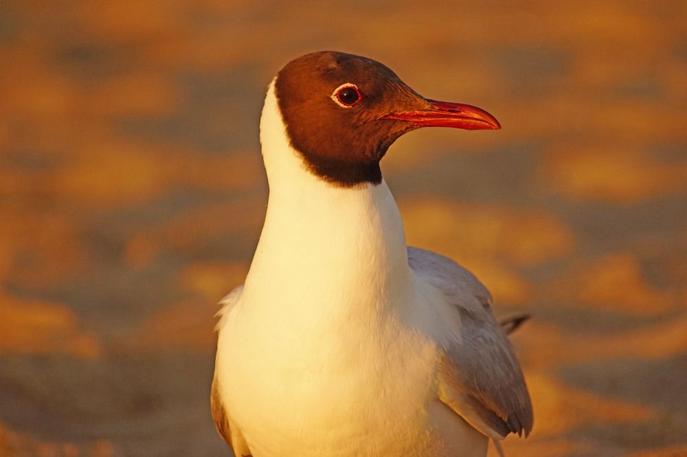 Photograph by Анна Васильева