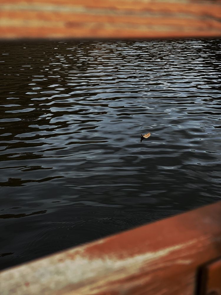 Photograph by Екатерина Газиянц