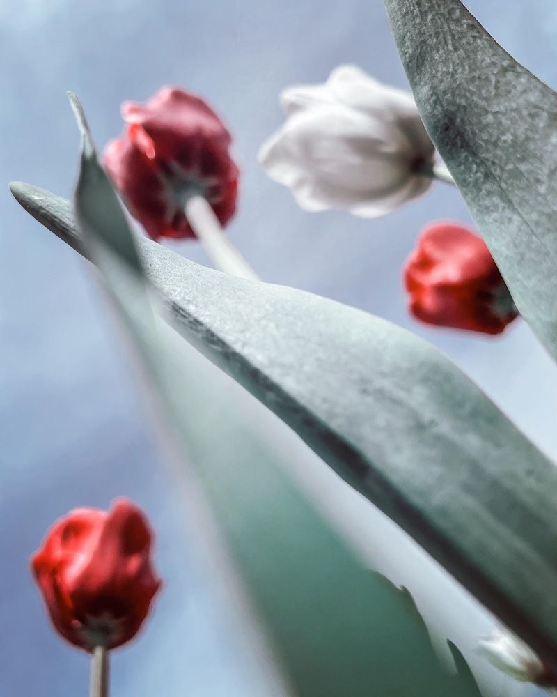 Photograph by Екатерина Газиянц