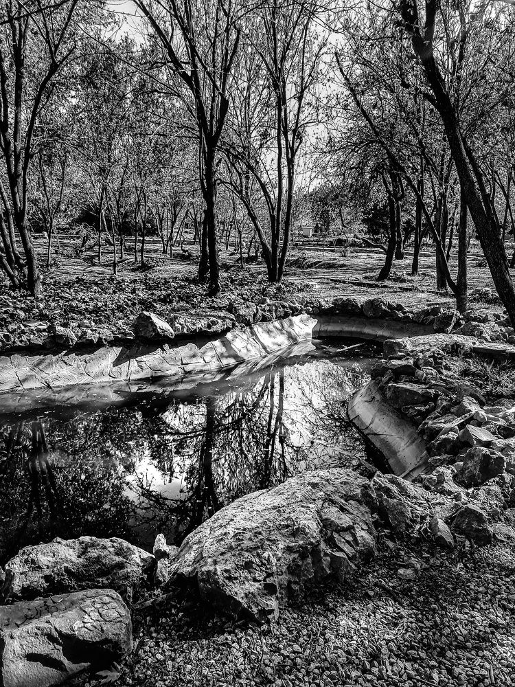 Photograph by Raesi Ayda