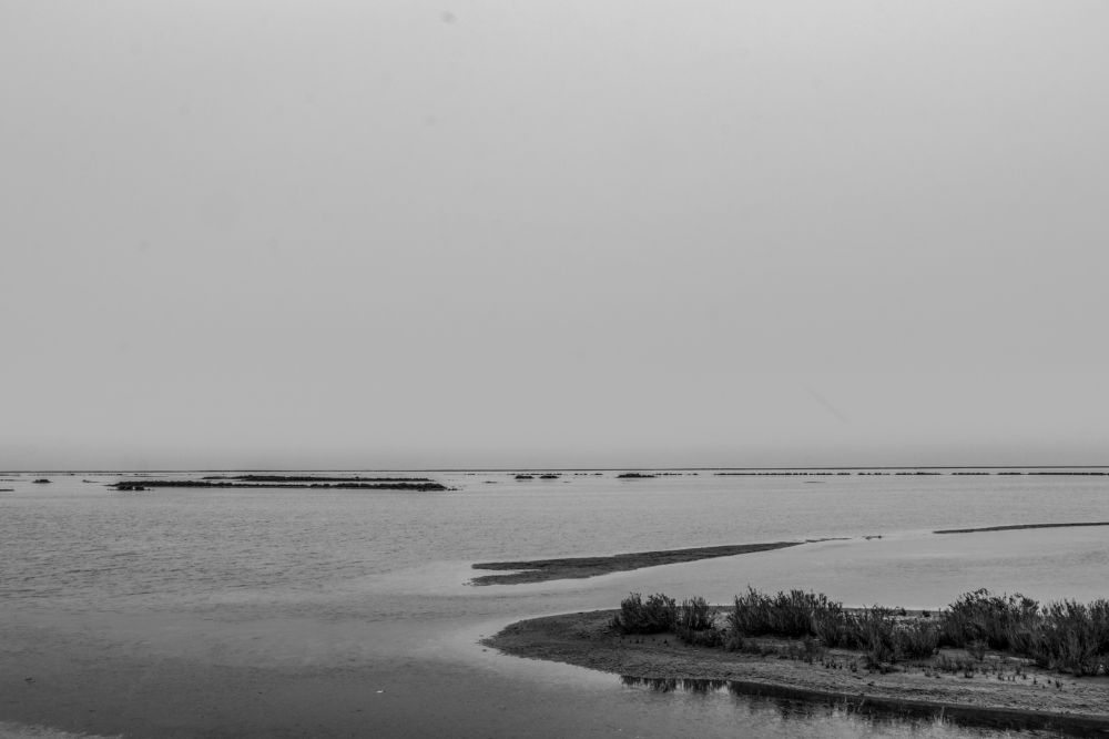 Photograph by Raesi Ayda