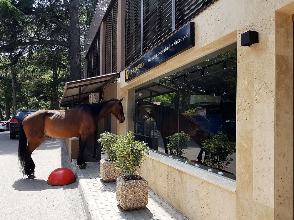 Мне сено с собой.