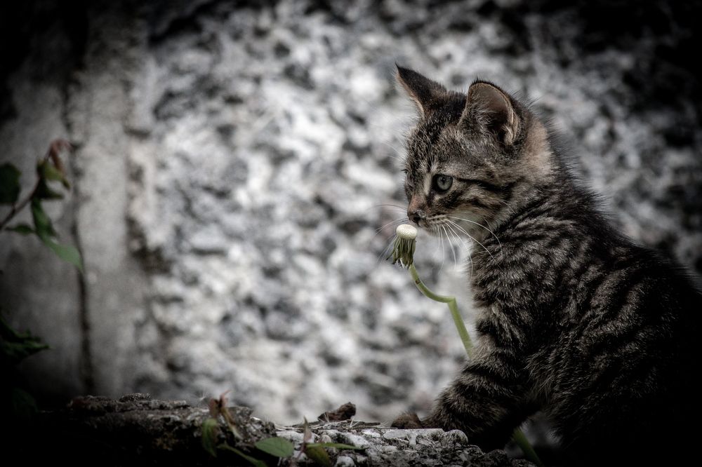 Photograph by Maksim Zhdanovich